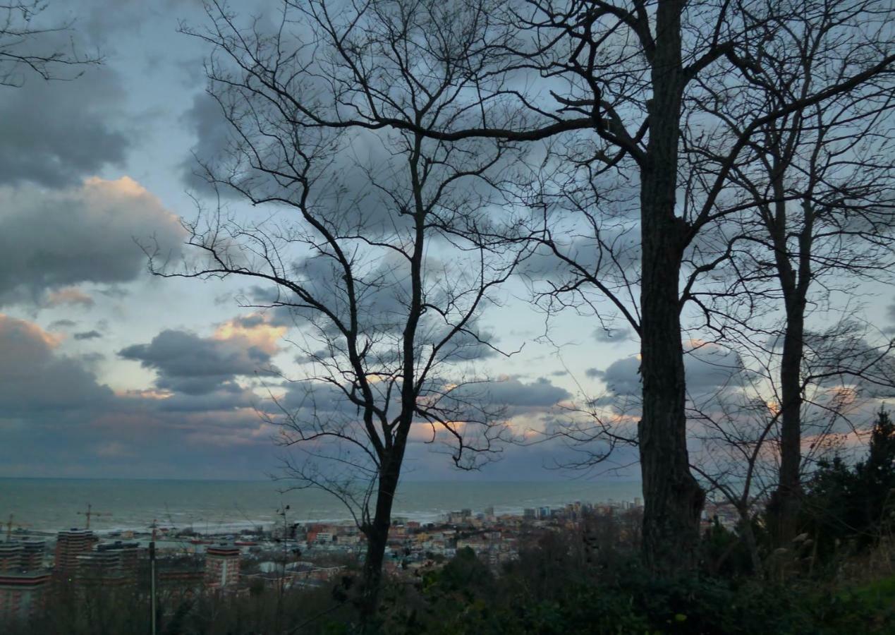 Ginko Apartment Pesaro